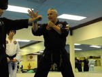 Combat Hapkido