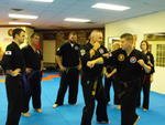 Combat Hapkido 9