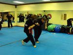 Combat Hapkido 12