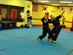 Combat Hapkido