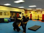 Combat Hapkido